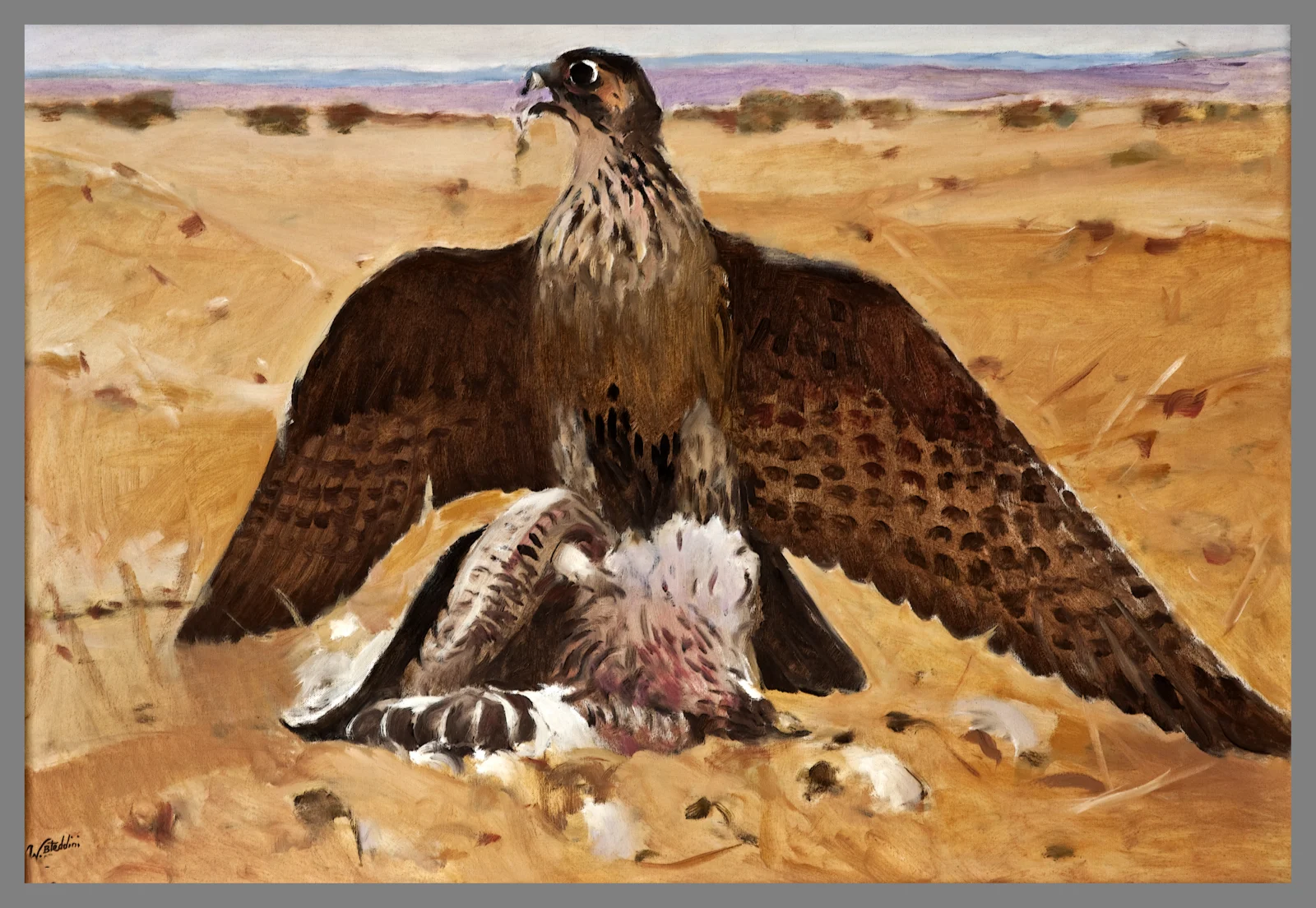 The Dominant Hawk