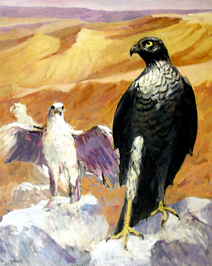 Wild Desert Wonders