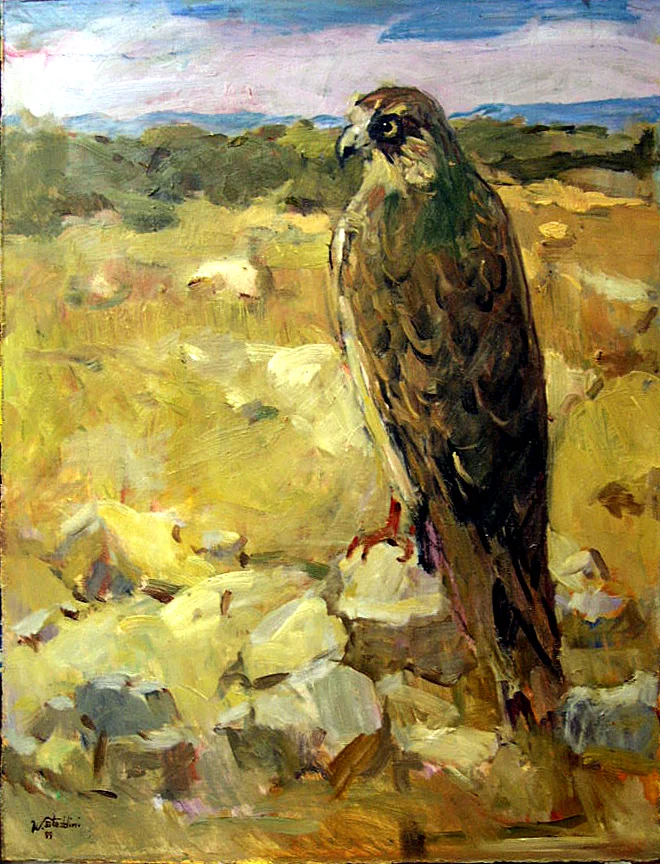 Bird on Rocks