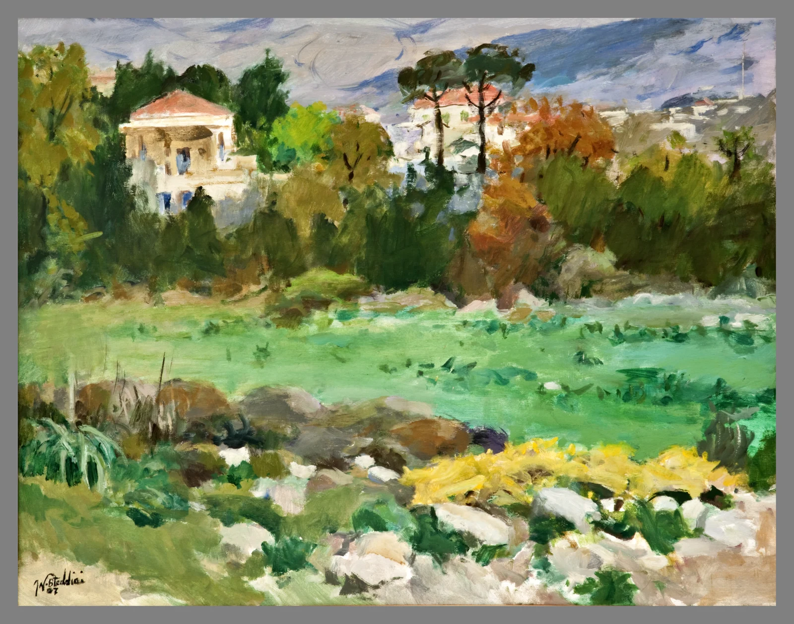 Grass and Nature