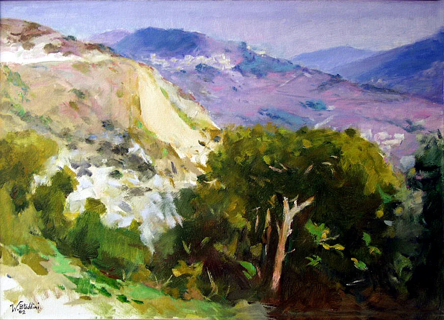 Forest Mountains